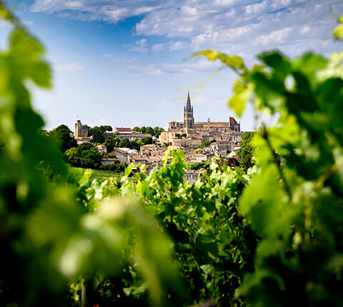 Cité médiévale de Saint-Emilion en Gironde, découverte des alentours vert autour du camping du lac en Dordogne