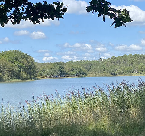 Vue de l’étang de la Jemaye en Dordogne