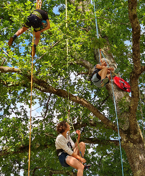 Activité grimpe d’arbres autour du camping du Lac, camping en Dordogne