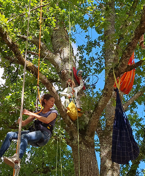 Activité grimpe d’arbres autour du camping du Lac