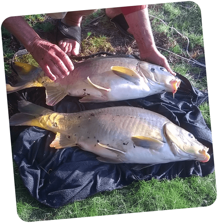Activité pêche autour du camping du Lac en Dordogne