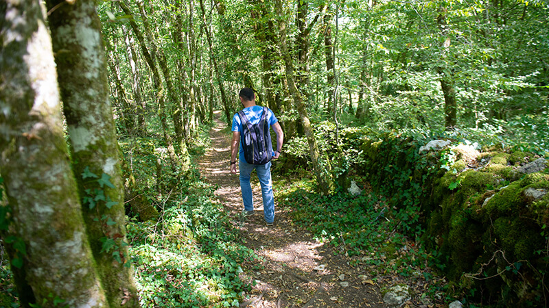 Randonnée en forêt autour du camping du Lac en Dordogne
